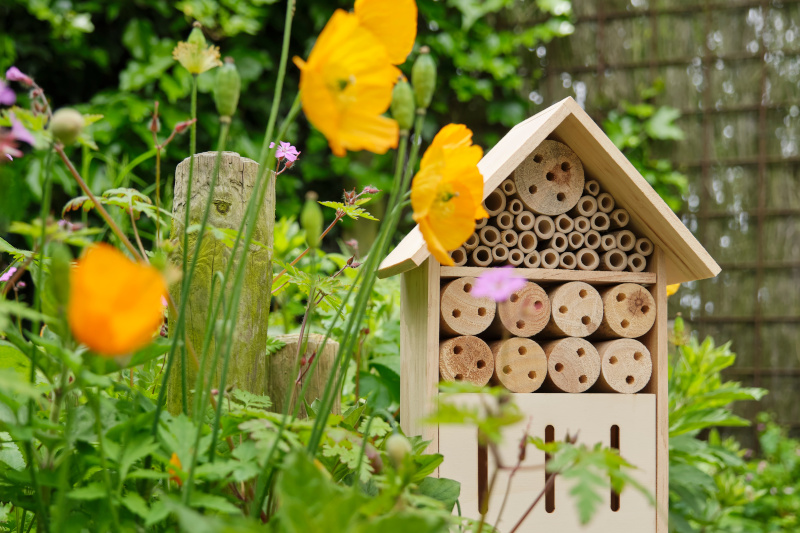 Insektenfreundlicher Garten